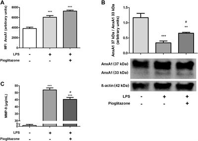 Pioglitazone-Mediated Attenuation of Experimental Colitis Relies on Cleaving of Annexin A1 Released by Macrophages